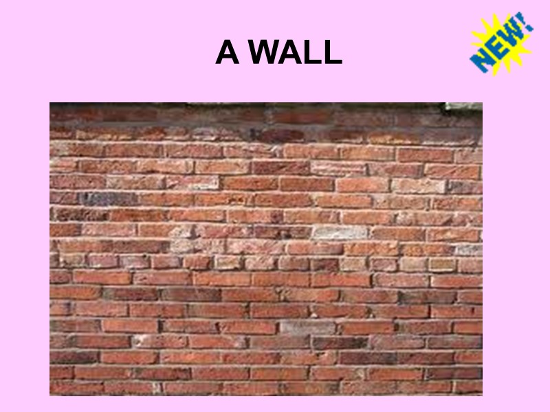 A WALL
